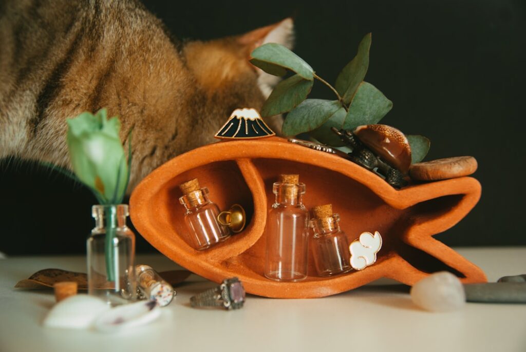 Pet-Safe Essential Oils: Curating a Clean Home Sanctuary - minimalist pet safe home fragrance